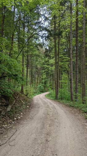 Altmühltal-Panoramaweg Etappe 3: Treuchtlingen - Pappenheim