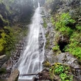 Explorer Falls, Washington - 707 Reviews, Map | AllTrails