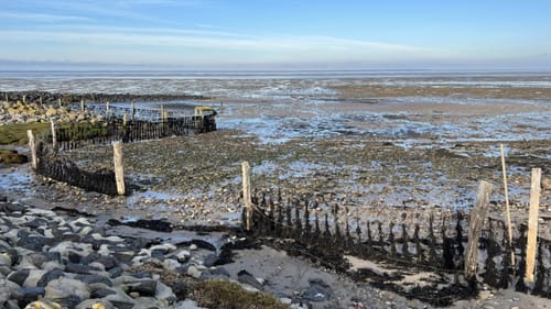 Föhr Umrundung