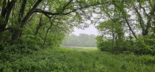 Best Forest Trails in James A Reed Wildlife Area | AllTrails