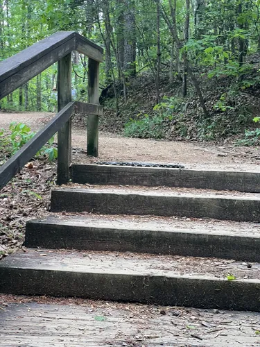 Best Walking Trails in Tallulah - EyJidWNrZXQiOiJhc3NldHMuYWxsdHJhaWxzLmNvbSIsImtleSI6InVwbG9hZHMvcGhvdG8vaW1hZ2UvNzQwOTA1ODkvMzcxNTZiZDdhYWY1ZTBiNmQzM2EwNmQ1MzEzYmVlNmYuanBnIiwiZWRpdHMiOnsidG9Gb3JtYXQiOiJ3ZWJwIiwicmVzaXplIjp7IndpZHRoIjo1MDAsImhlaWdodCI6NTAwLCJmaXQiOiJpbnNpZGUifSwicm90YXRlIjpudWxsLCJqcGVnIjp7InRyZWxsaXNRdWFudGlzYXRpb24iOnRydWUsIm92ZXJzaG9vdERlcmluZ2luZyI6dHJ1ZSwib3B0aW1pc2VTY2FucyI6dHJ1ZSwicXVhbnRpc2F0aW9uVGFibGUiOjN9fX0=