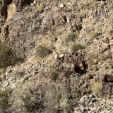 Fortuna Peak - WWII B-17 Crash Site, Arizona - 354 Reviews, Map | AllTrails