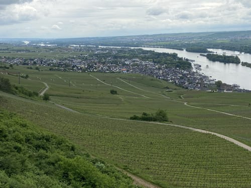 Von Rüdesheim zur Burg Ehrenfels