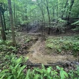 Scotts Gap Loop Trail, Kentucky - 990 Reviews, Map | AllTrails