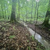 Scotts Gap Loop Trail, Kentucky - 990 Reviews, Map | AllTrails