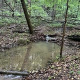 Scotts Gap Loop Trail, Kentucky - 990 Reviews, Map | AllTrails