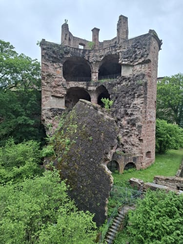 Stadtwanderung: Altstadt, Schloss, Philosophenweg