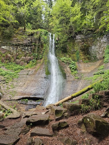 Sankenbachsteig (Premiumwanderweg)