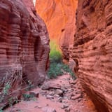 Red Rock Trail with Walatowa Slot Canyon, New Mexico - 211 Reviews, Map ...