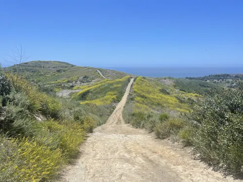 Best Camping Trails in Crystal - EyJidWNrZXQiOiJhc3NldHMuYWxsdHJhaWxzLmNvbSIsImtleSI6InVwbG9hZHMvcGhvdG8vaW1hZ2UvNzQxNDA5MDMvYWMwOTgzNGZhNjYzOTU2NzNlOTQwZjFhNjQ3MjE3ZWIuanBnIiwiZWRpdHMiOnsidG9Gb3JtYXQiOiJ3ZWJwIiwicmVzaXplIjp7IndpZHRoIjo1MDAsImhlaWdodCI6NTAwLCJmaXQiOiJpbnNpZGUifSwicm90YXRlIjpudWxsLCJqcGVnIjp7InRyZWxsaXNRdWFudGlzYXRpb24iOnRydWUsIm92ZXJzaG9vdERlcmluZ2luZyI6dHJ1ZSwib3B0aW1pc2VTY2FucyI6dHJ1ZSwicXVhbnRpc2F0aW9uVGFibGUiOjN9fX0=