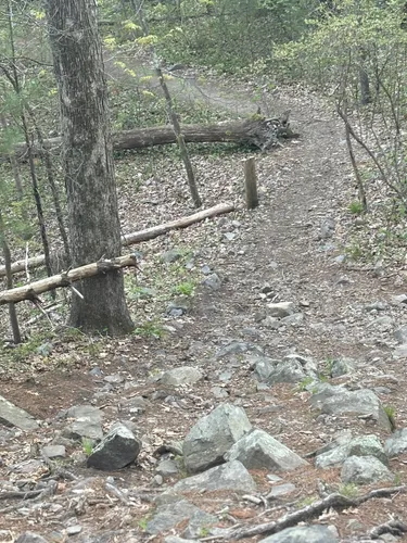 Best Beach Trails in Blue Hills - EyJidWNrZXQiOiJhc3NldHMuYWxsdHJhaWxzLmNvbSIsImtleSI6InVwbG9hZHMvcGhvdG8vaW1hZ2UvNzQxNDY3OTkvYTczOWI2YjcyNWU0MzVjNzU3MjEyMjNiYzY4YmY3ZDMuanBnIiwiZWRpdHMiOnsidG9Gb3JtYXQiOiJ3ZWJwIiwicmVzaXplIjp7IndpZHRoIjo1MDAsImhlaWdodCI6NTAwLCJmaXQiOiJpbnNpZGUifSwicm90YXRlIjpudWxsLCJqcGVnIjp7InRyZWxsaXNRdWFudGlzYXRpb24iOnRydWUsIm92ZXJzaG9vdERlcmluZ2luZyI6dHJ1ZSwib3B0aW1pc2VTY2FucyI6dHJ1ZSwicXVhbnRpc2F0aW9uVGFibGUiOjN9fX0=