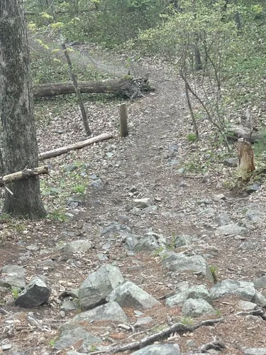 Best Beach Trails in Blue Hills - EyJidWNrZXQiOiJhc3NldHMuYWxsdHJhaWxzLmNvbSIsImtleSI6InVwbG9hZHMvcGhvdG8vaW1hZ2UvNzQxNDg1NTcvZDQ2MTNjZjFlZGE2ZDYwMjBmN2ZiNjRlZjdmMzk0NzIuanBnIiwiZWRpdHMiOnsidG9Gb3JtYXQiOiJ3ZWJwIiwicmVzaXplIjp7IndpZHRoIjo1MDAsImhlaWdodCI6NTAwLCJmaXQiOiJpbnNpZGUifSwicm90YXRlIjpudWxsLCJqcGVnIjp7InRyZWxsaXNRdWFudGlzYXRpb24iOnRydWUsIm92ZXJzaG9vdERlcmluZ2luZyI6dHJ1ZSwib3B0aW1pc2VTY2FucyI6dHJ1ZSwicXVhbnRpc2F0aW9uVGFibGUiOjN9fX0=