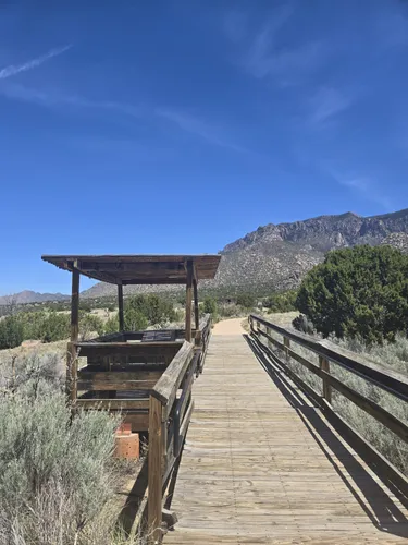 Best Long Trails in Elena Gallegos Picnic Area/Albert G. Simms Park ...