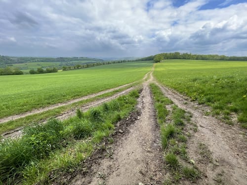Römerpfad (Premiumwanderweg)