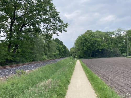 Töddenweg Etappe 6: Bad Bentheim - Dinkelland