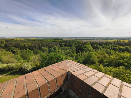 Ehrenmal in den Heidbergen und Waldweg