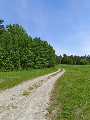 Ehrenmal in den Heidbergen und Waldweg