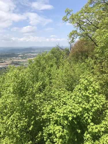 Best Kid Friendly Trails in Bald Eagle State Forest | AllTrails