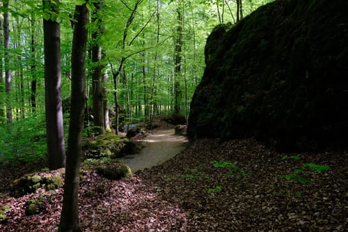 Felsengarten Sanspareil