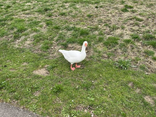 Rund um den Lago Laprello
