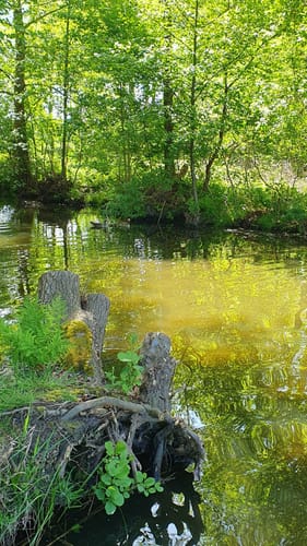 Wanderung am Kattenstieg