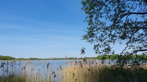 Wanderung am Kattenstieg