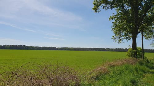 Wanderung am Kattenstieg