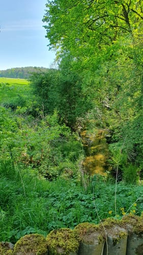 Wanderung am Kattenstieg