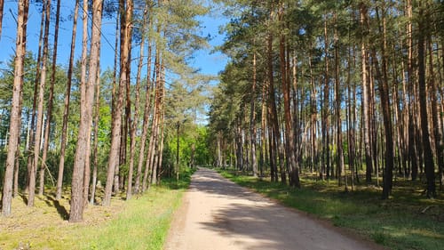 Wanderung am Kattenstieg
