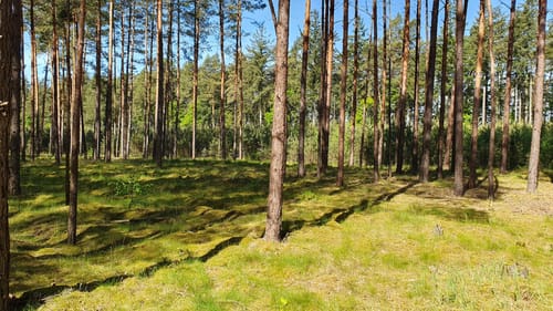 Wanderung am Kattenstieg