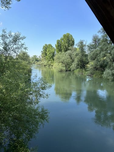 Auf dem Damm am Rhein: Um die Ketscher Rheininsel