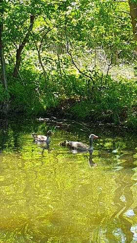 Wanderung am Kattenstieg