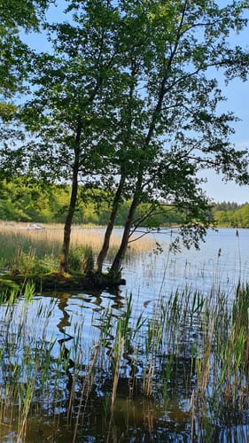 Wanderung am Kattenstieg