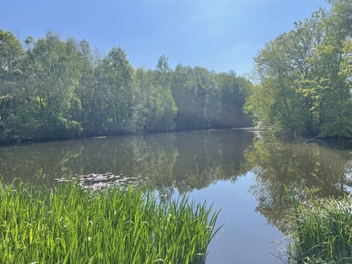 Rothsee Rundweg