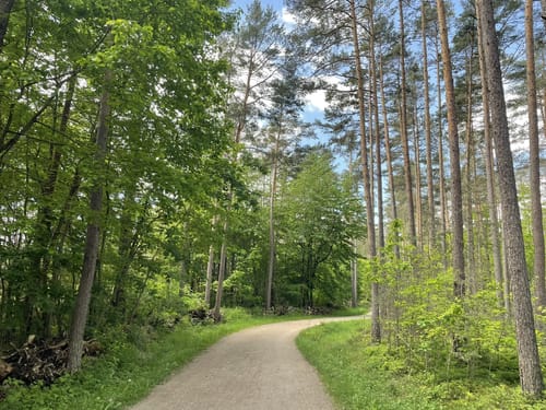 Rothsee Rundweg