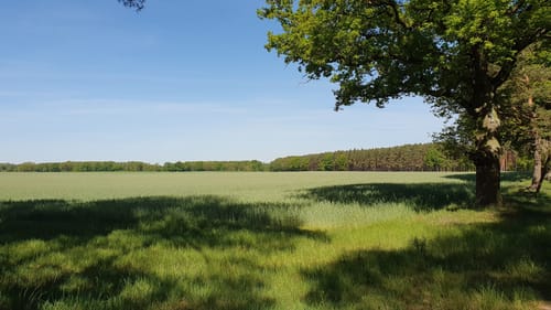 Wanderung am Kattenstieg