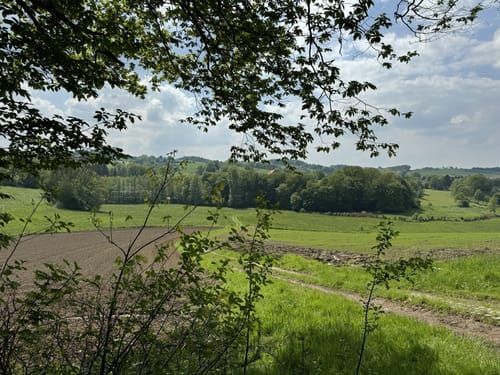 Elfringhausener Schweiz