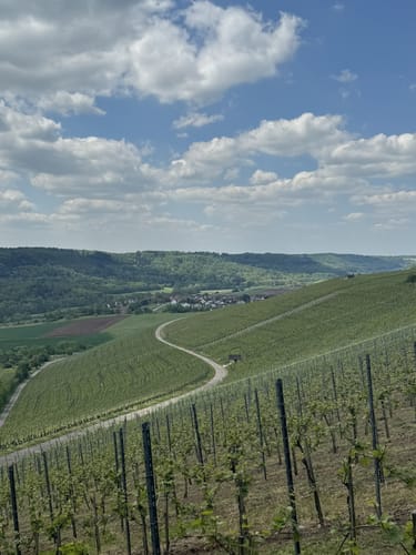 Bönnigheim - Ochsenbach