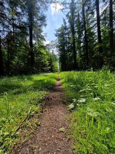Emshöhenweg ab Wachendorfer See