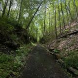 Larkin Bridle Path, Connecticut - 433 Reviews, Map | AllTrails