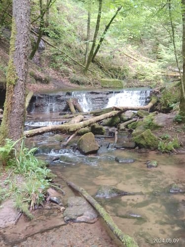 Dreischluchten (Premiumwanderweg)