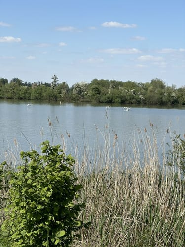 Altmühlsee Rundweg