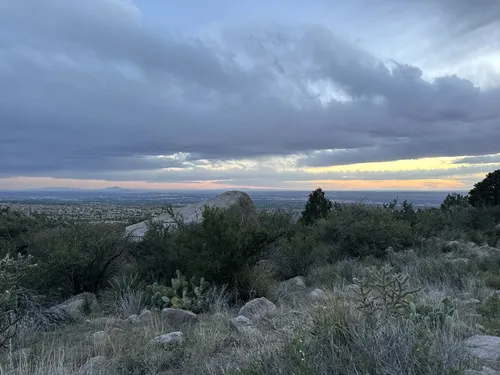 Best Long Trails in Elena Gallegos Picnic Area/Albert G. Simms Park ...