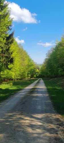 Kleine Waldrunde bei Morscheid