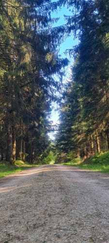 Kleine Waldrunde bei Morscheid