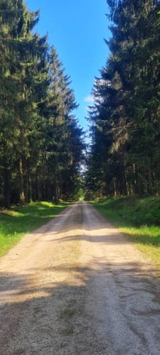 Kleine Waldrunde bei Morscheid