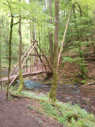 Dreischluchten (Premiumwanderweg)