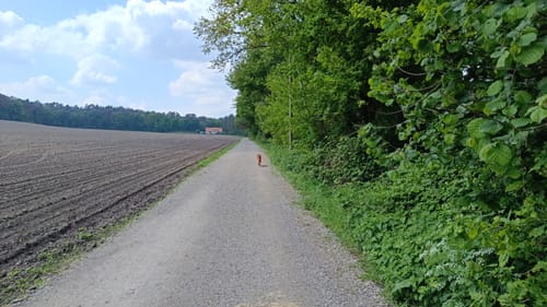 Östliche Haard Rundweg