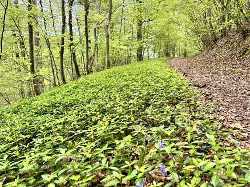 Von Herrlingen ins Kleine Lautertal