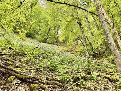 Von Herrlingen ins Kleine Lautertal